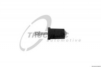 TRUCKTEC AUTOMOTIVE 0253065 -  Фиксатор двери
